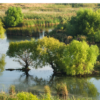 Viata Parcului Natural Vacaresti